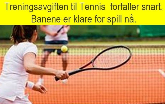 Radio karbon dating isen kjerner