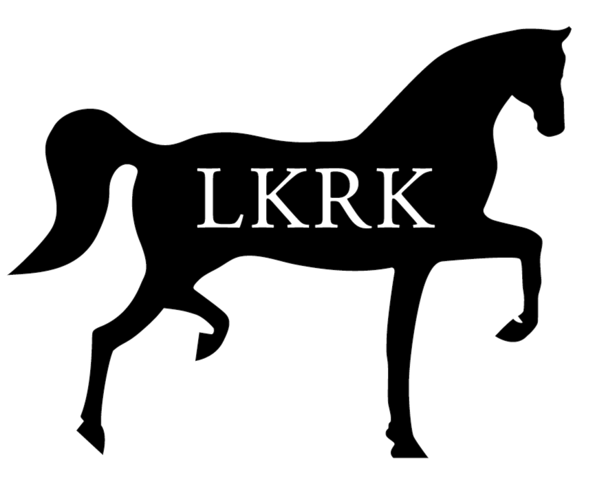 https://azure.content.bloc.net/froala/200000195/1308/2022/1/12/skjermbilde-lkrk.png?autorotate=true&width=1024&quality=90
