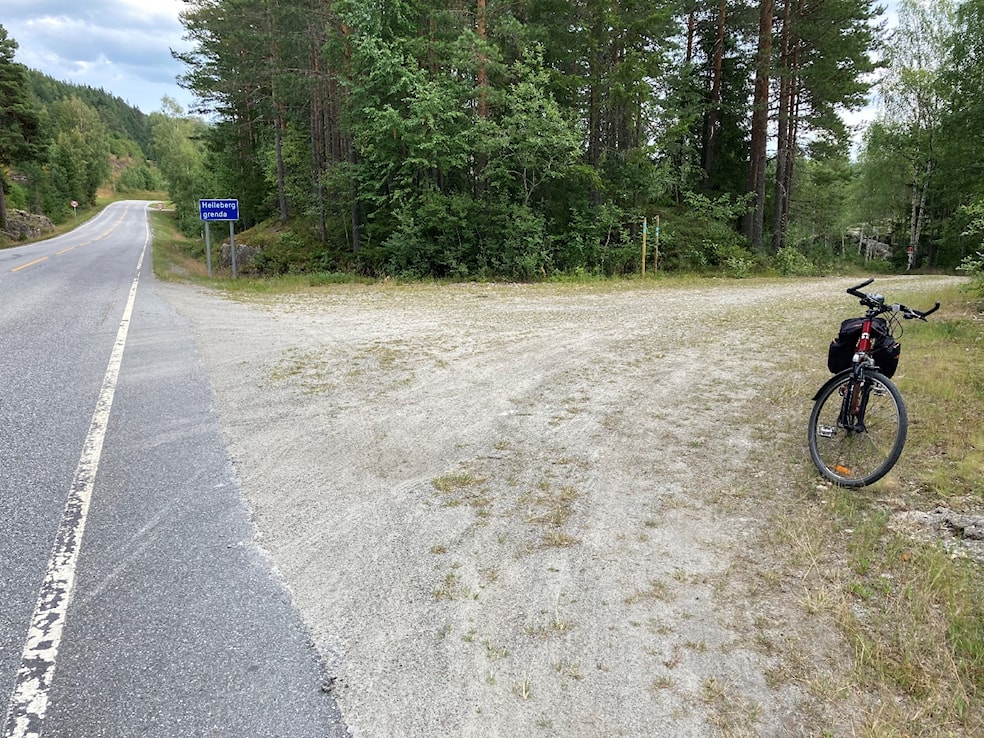 Et bilde som inneholder tre, utendørs, bilvei, bakkeAutomatisk generert beskrivelse
