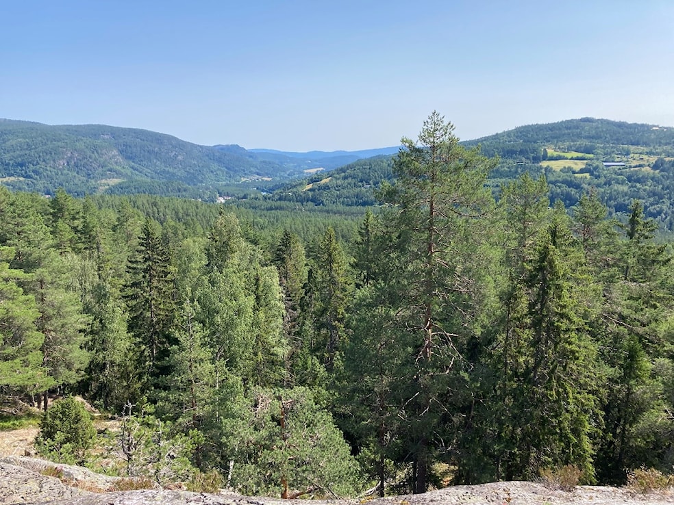Et bilde som inneholder fjell, tre, utendørs, naturAutomatisk generert beskrivelse