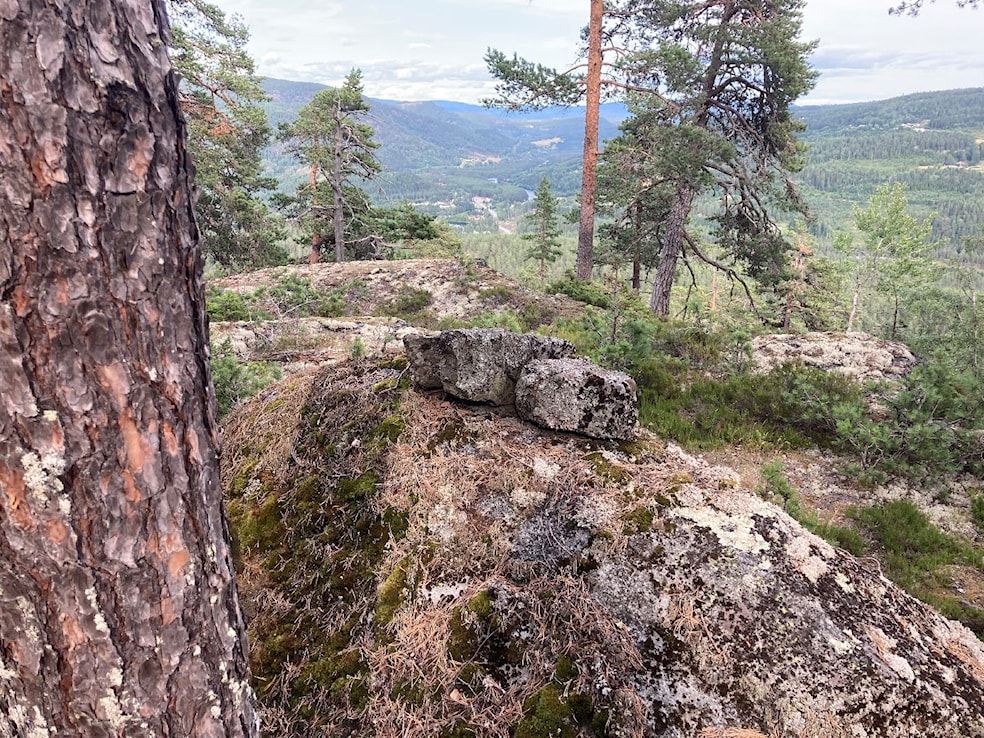 Et bilde som inneholder tre, stein, utendørs, fjellAutomatisk generert beskrivelse