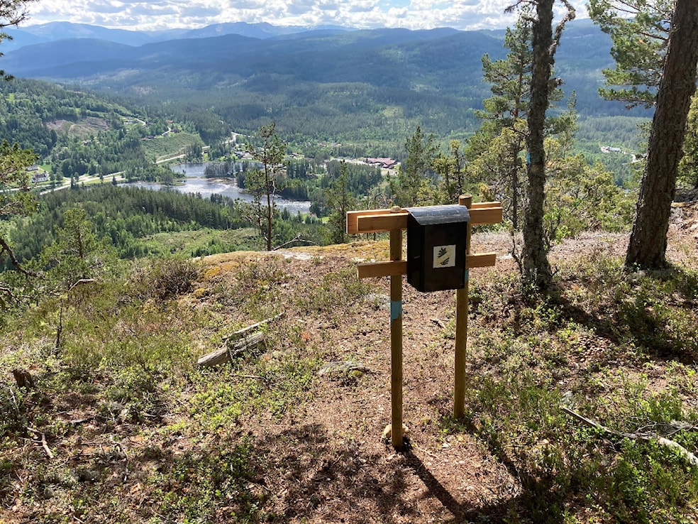 Et bilde som inneholder tekst, tre, utendørs, fjellAutomatisk generert beskrivelse