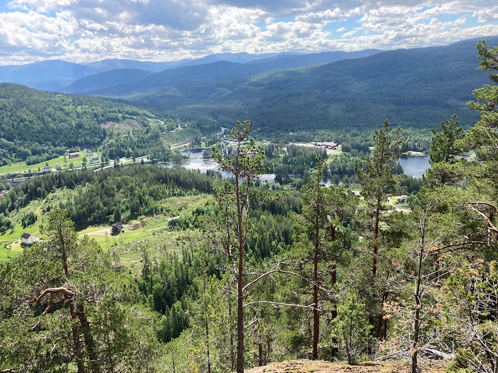 Et bilde som inneholder fjell, utendørs, tre, naturAutomatisk generert beskrivelse