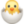 🐣