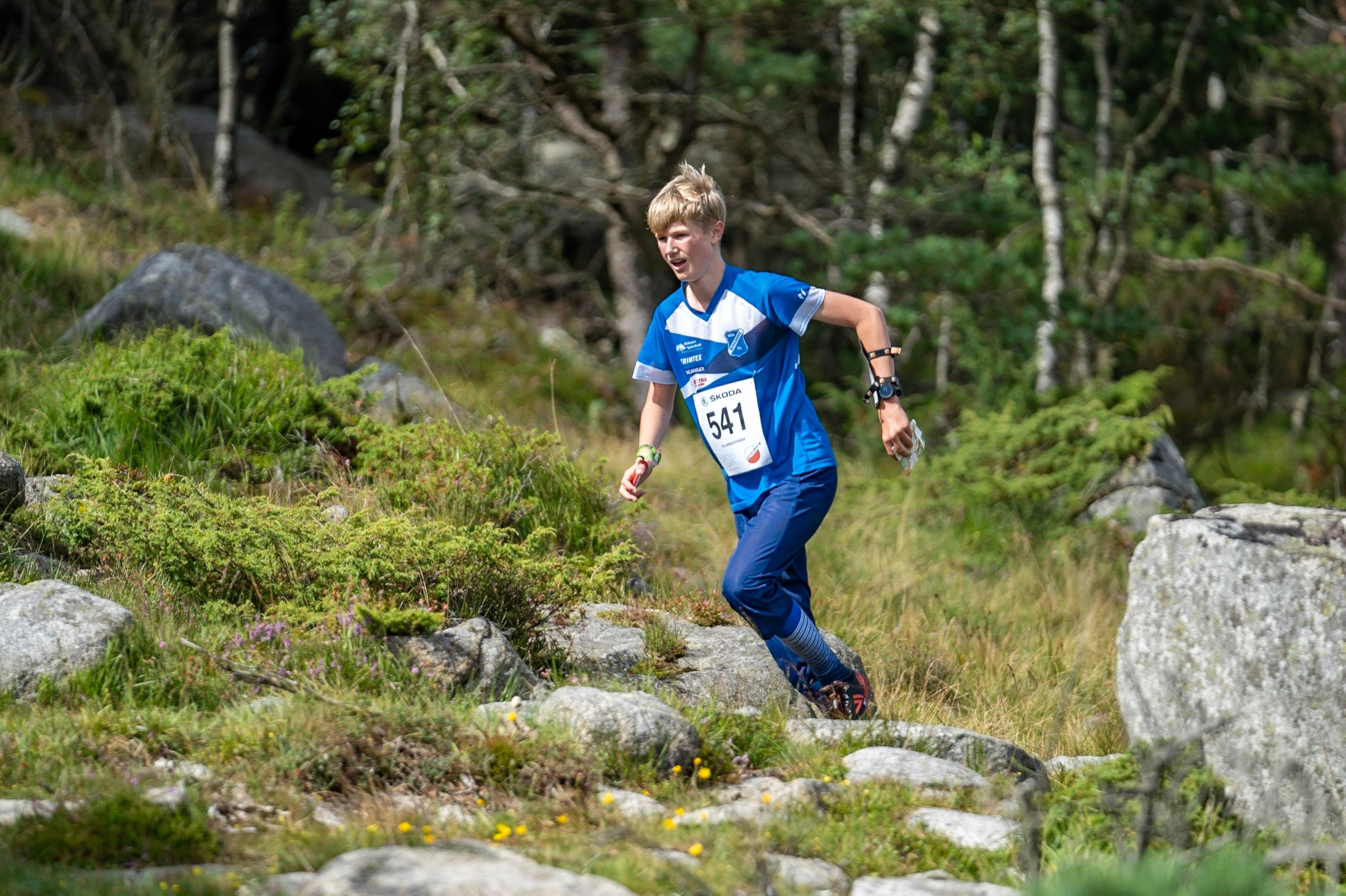 Emil Nygård