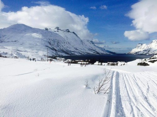 2016_skirenn.jpg