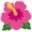 🌺