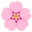 🌸