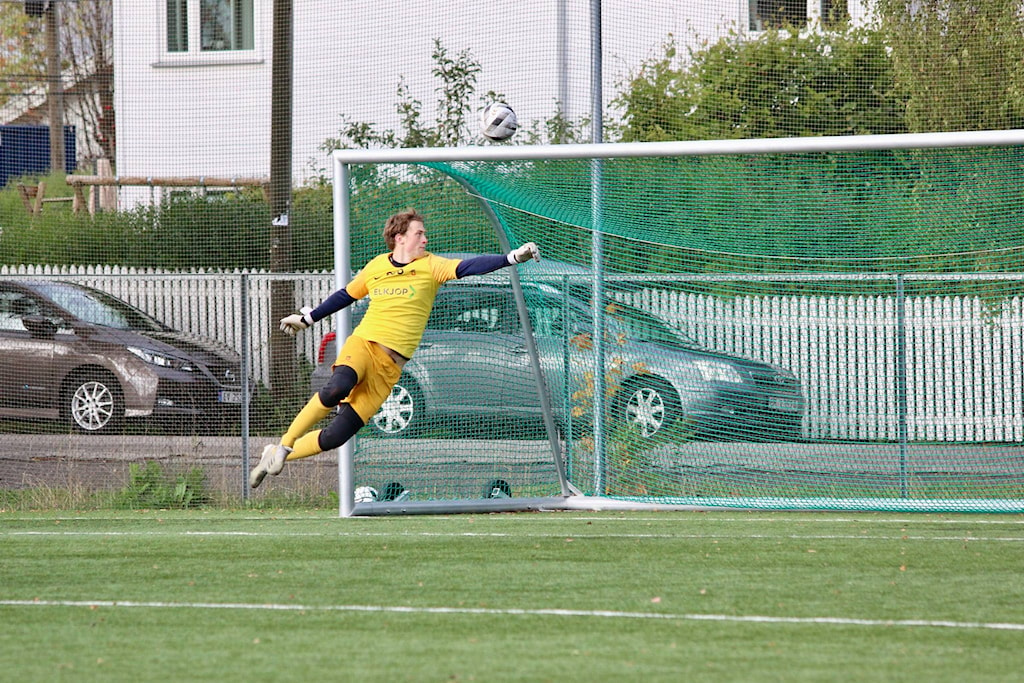 May be an image of 1 person, playing a sport, standing and grass