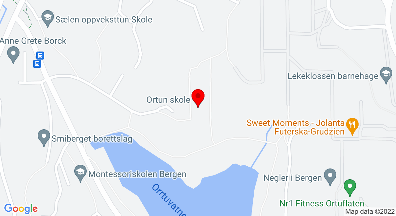 Google Map of Torgny Segerstedts vei 14 v/ Ortun ungdomsskole.,5143+FYLLINGSDALEN