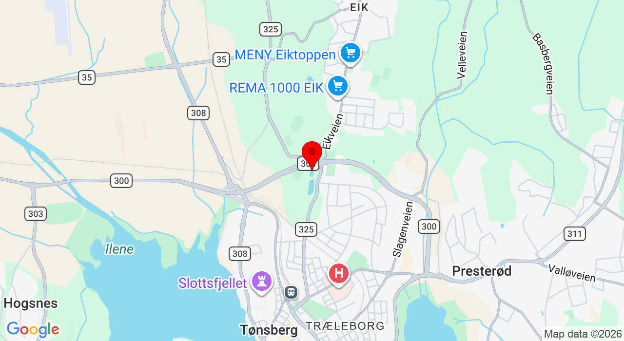 Google Map of https://www.google.com/maps/place/tønsberg is hall - andredammen,Tønsberg