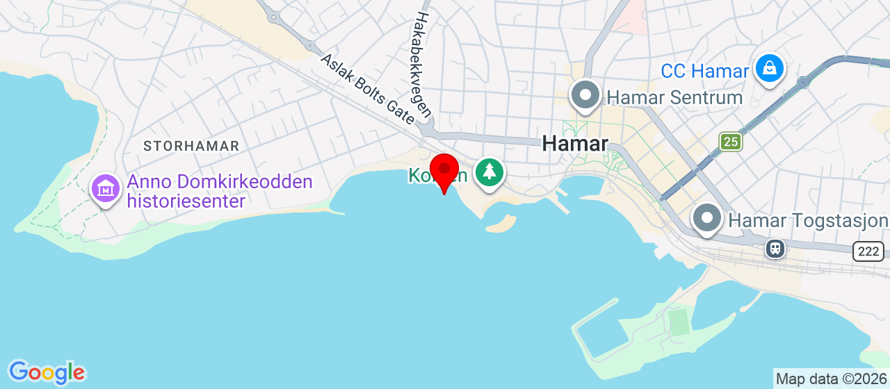 Kart over Stupetårnet Hamar