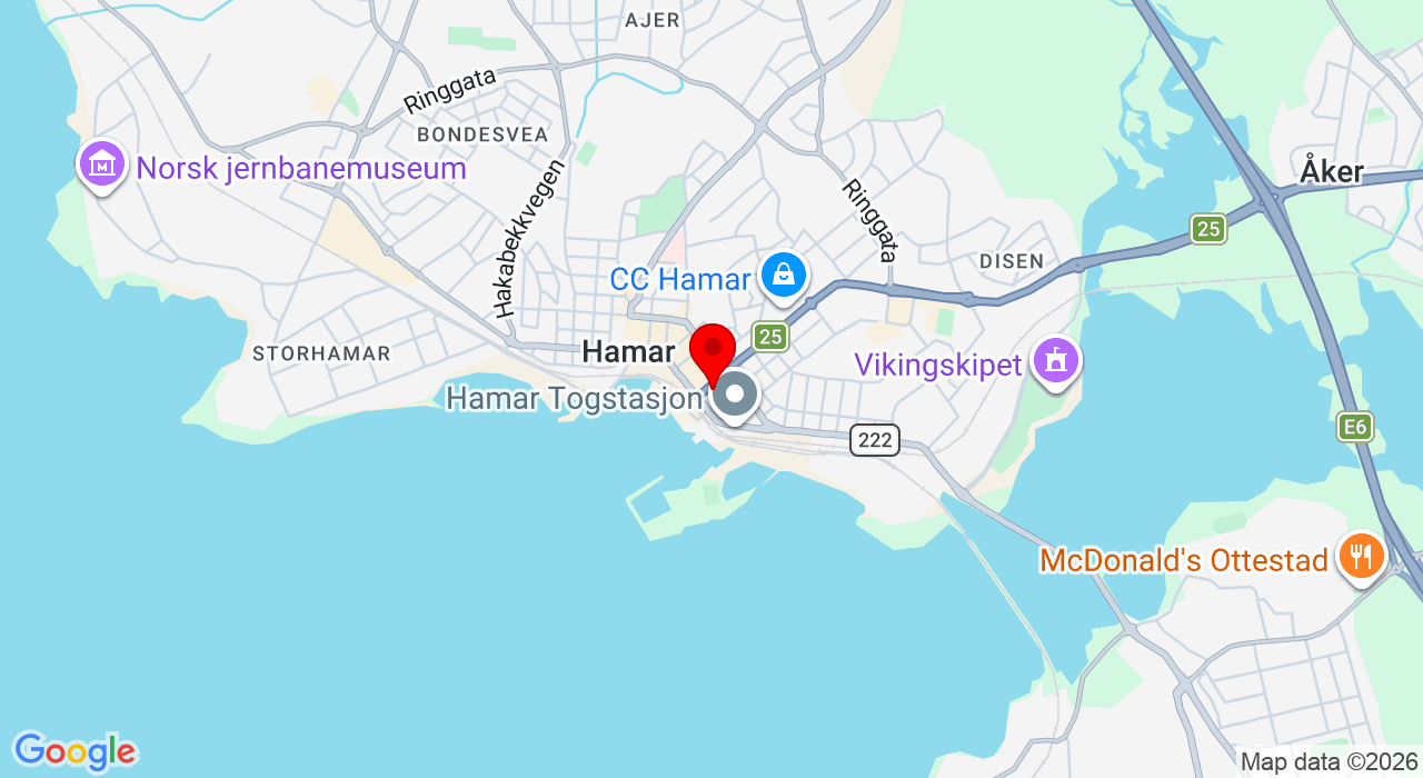 Google Map of https://www.google.com/maps/place/Torggata 24,2317+Hamar