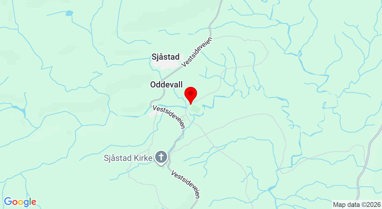 Google Map of https://www.google.com/maps/place/Baneveien 220,3405+Lier