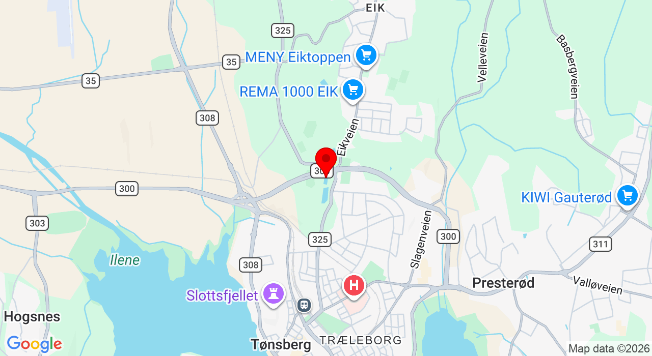 Google Map of https://www.google.com/maps/place/Andredammen,3103+Tønsberg