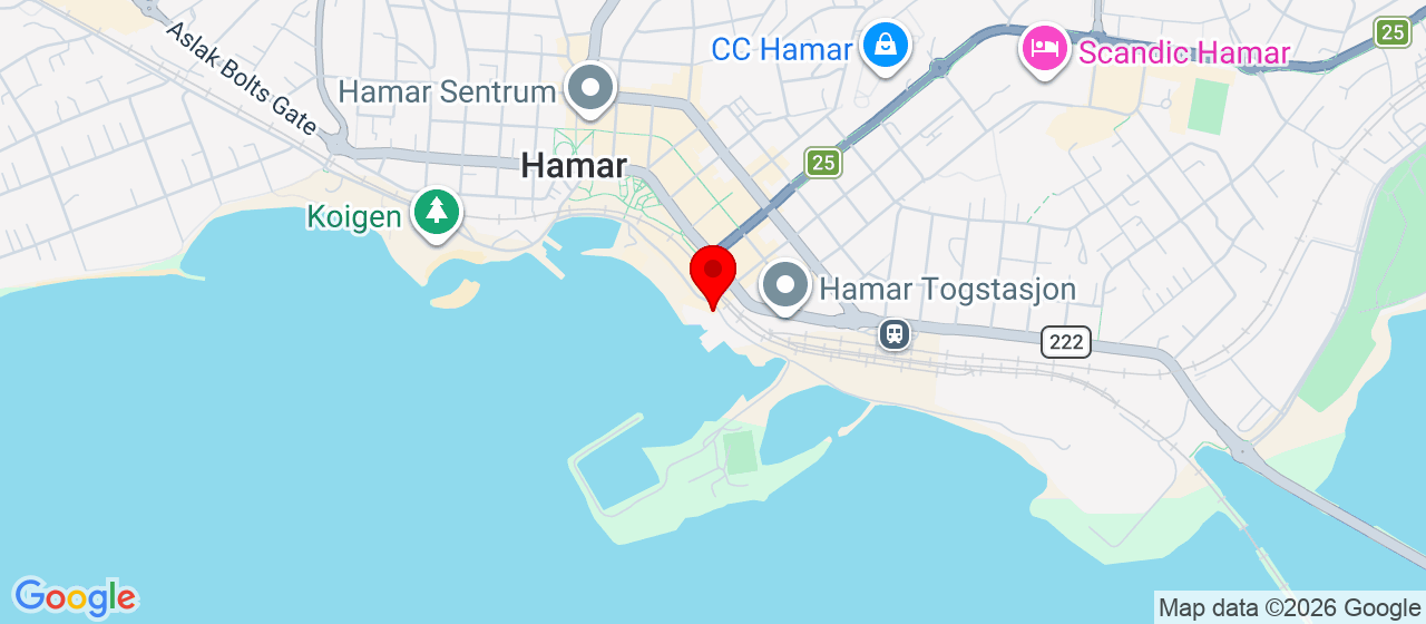 Kart over Hamar HAMAR