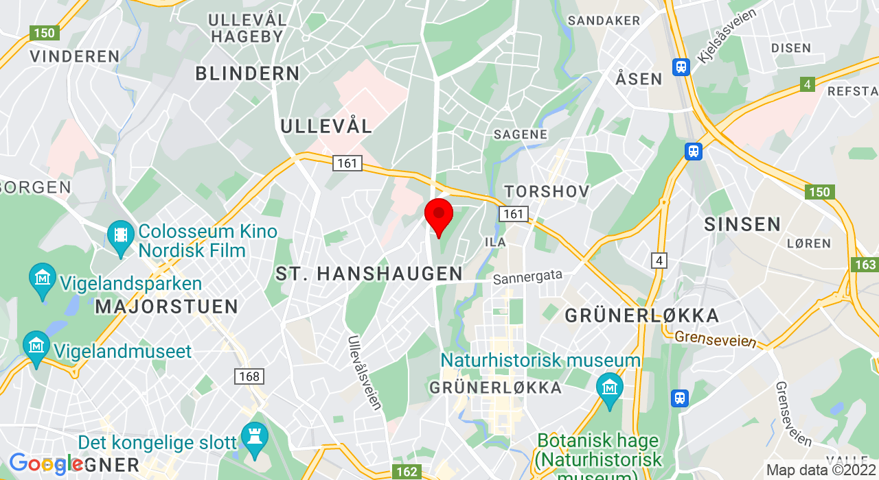 Google Map of Kingos gate 20,0457+OSLO