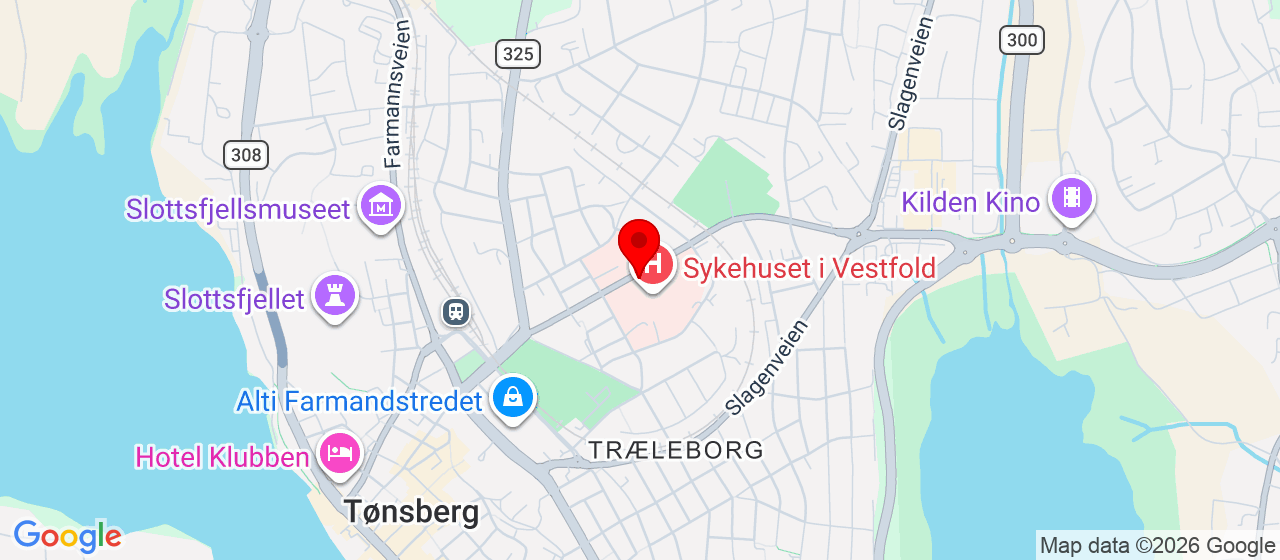 Kart over Halvdan Wilhelmsens alle 17 Tønsberg