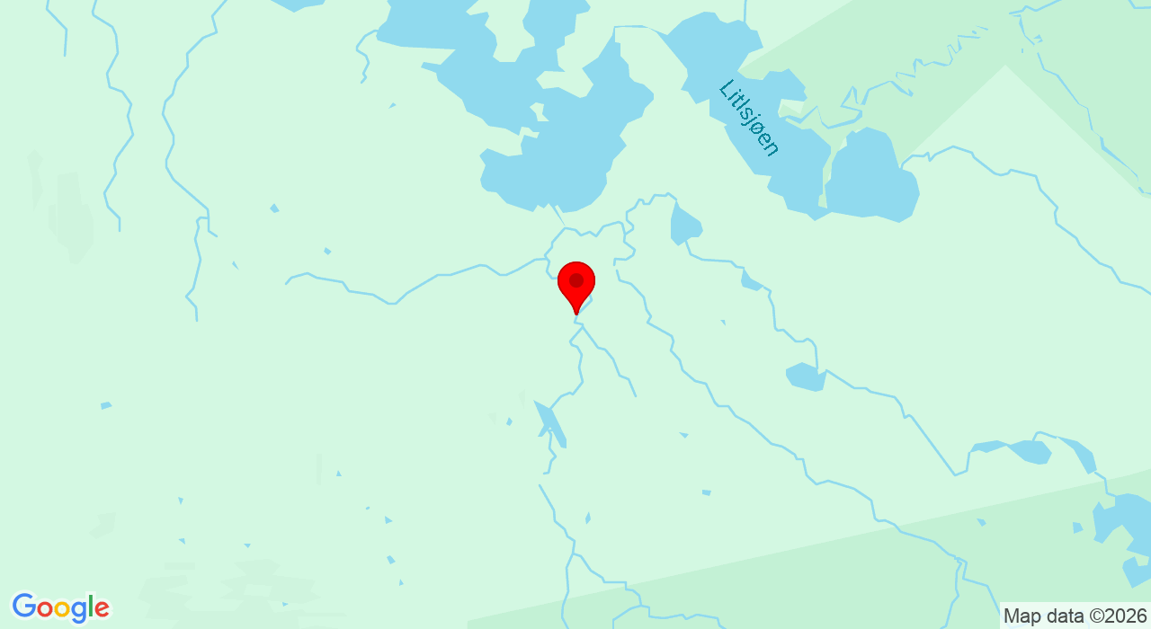 Google Map of https://www.google.com/maps/place/Lierne Kunstgress