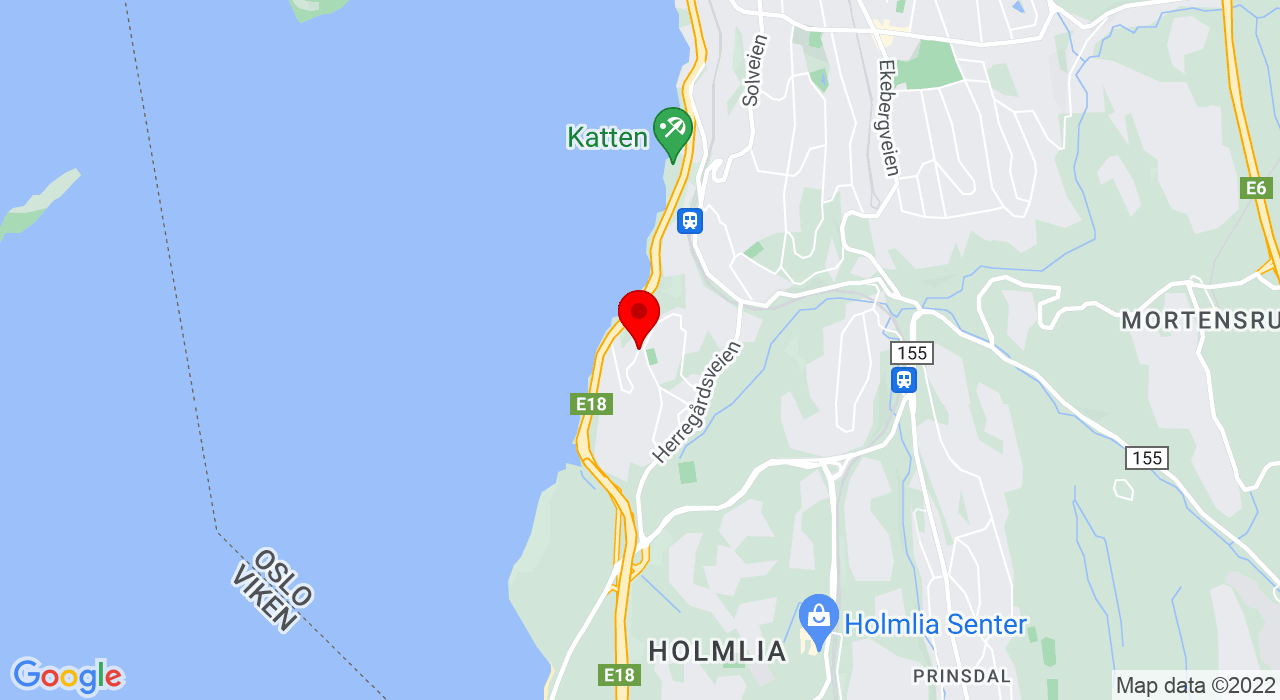 Google Map of Gladvollveien 21,1168+OSLO