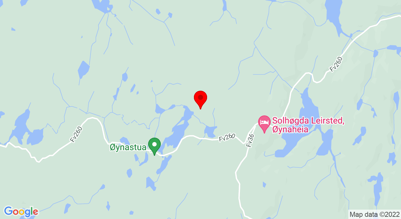 Google Map of Øynaheia,4828+Mjåvatn