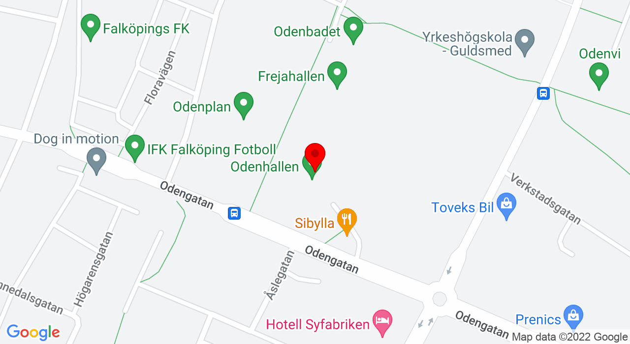 Google Map of Odenhallen,52141+Falköping