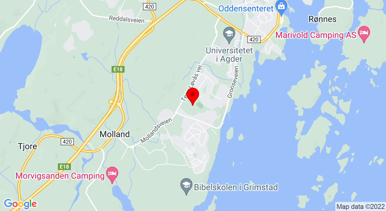 Google Map of Terje Løvås vei 111,,4879+GRIMSTAD