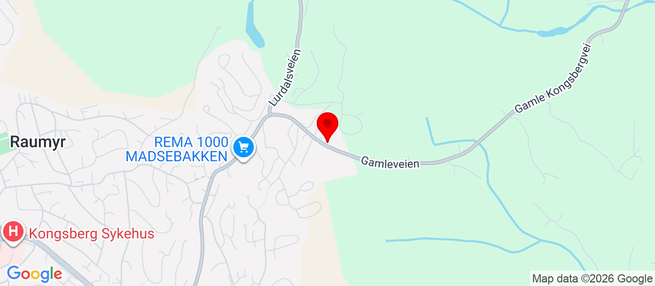 Kart over Gessellveien 25 KONGSBERG