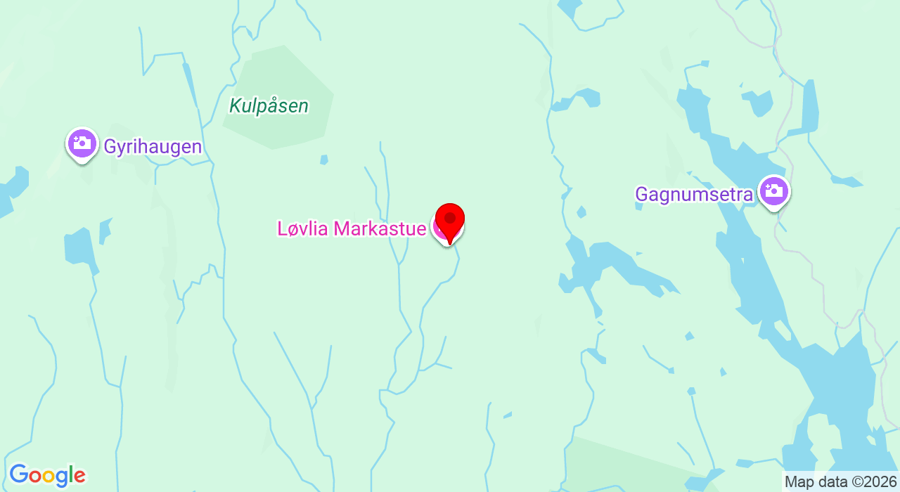 Google Map of https://www.google.com/maps/place/Lauvliveien 460,3512+Hønefoss