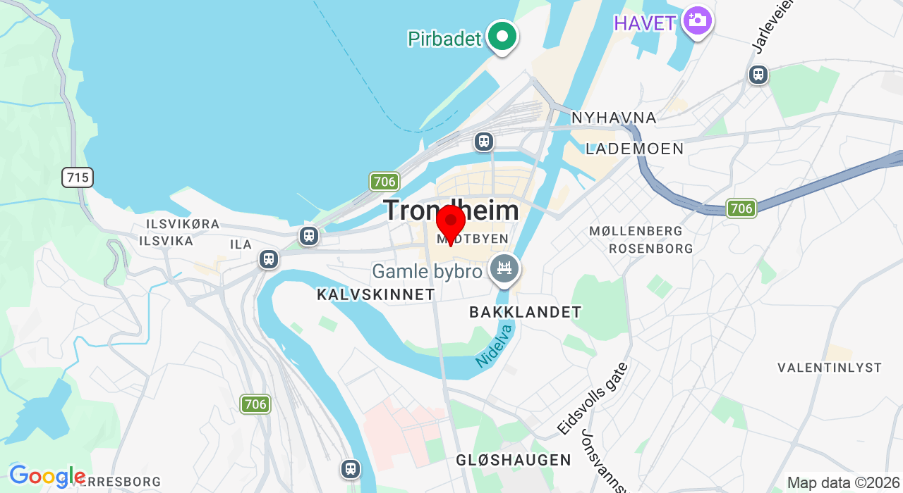 Google Map of https://www.google.com/maps/place/Trondheim,Trondheim