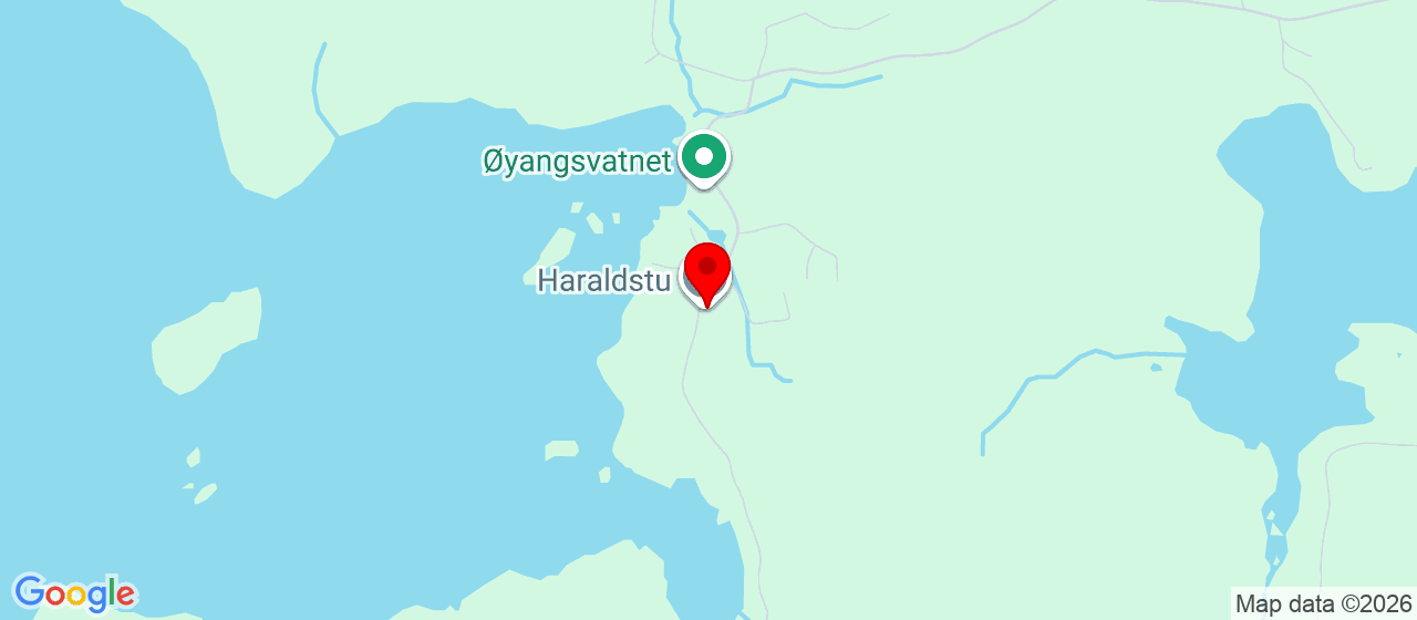 Kart over Øyangsveien 890 LENSVIK