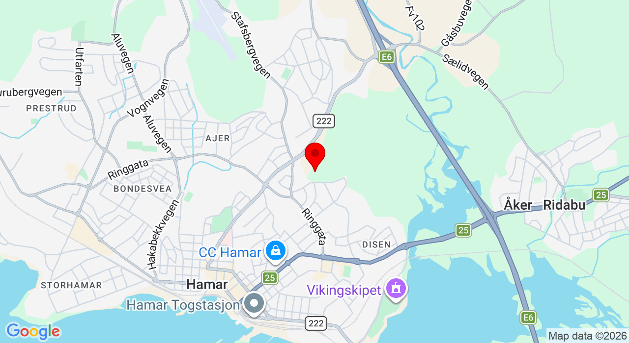 Google Map of https://www.google.com/maps/place/Furnesvegen 115,2318+Hamar