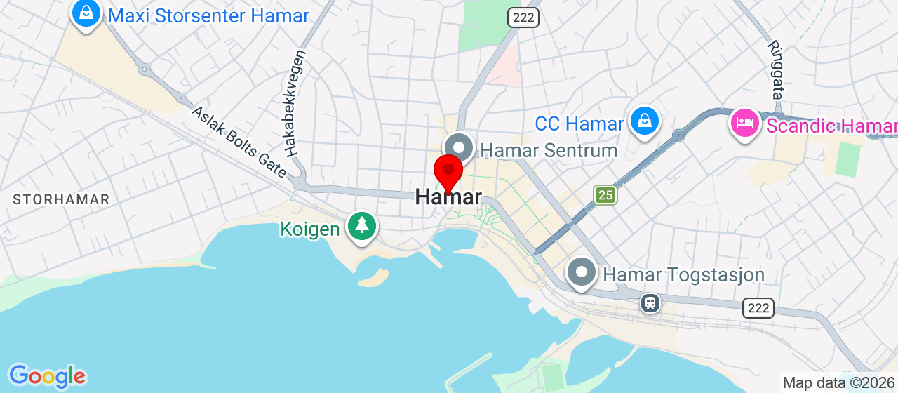 Kart over hamar 