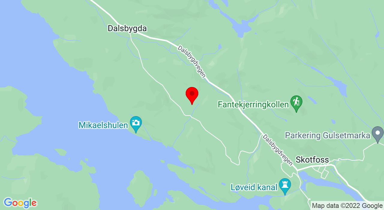Google Map of Børrebakken 39,3720+SKIEN