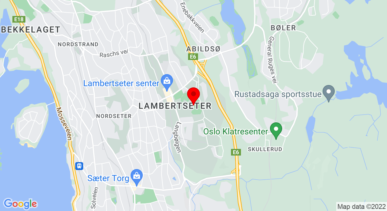 Google Map of Feltspatveien 19,1155+OSLO