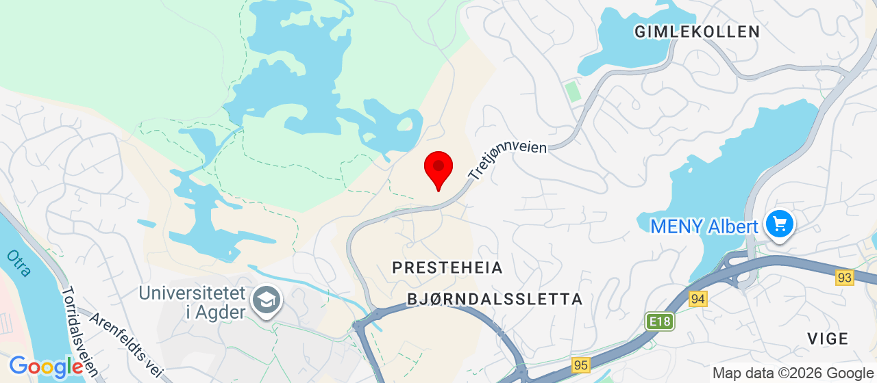 Kart over Tretjønnveien 100 KRISTIANSAND S