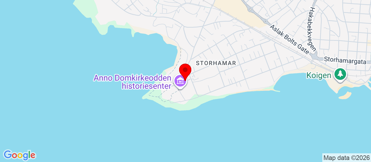 Kart over Strandvegen 100 HAMAR