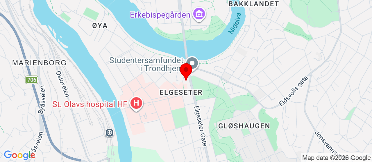 Kart over Elgesetergt 2 TRONDHEIM
