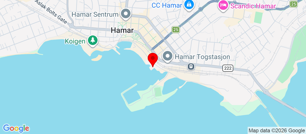 Kart over Brygge 20 Hamar