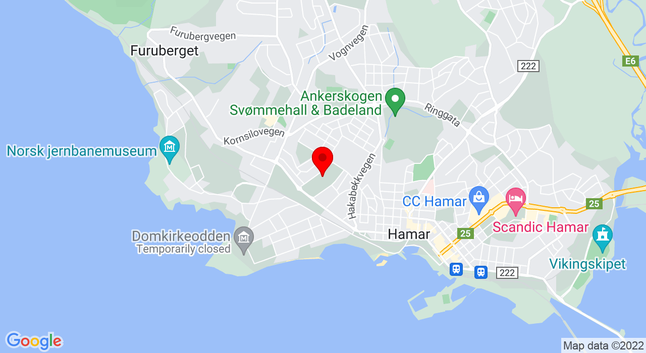 Google Map of Kolltjernvegen 10,2316+HAMAR