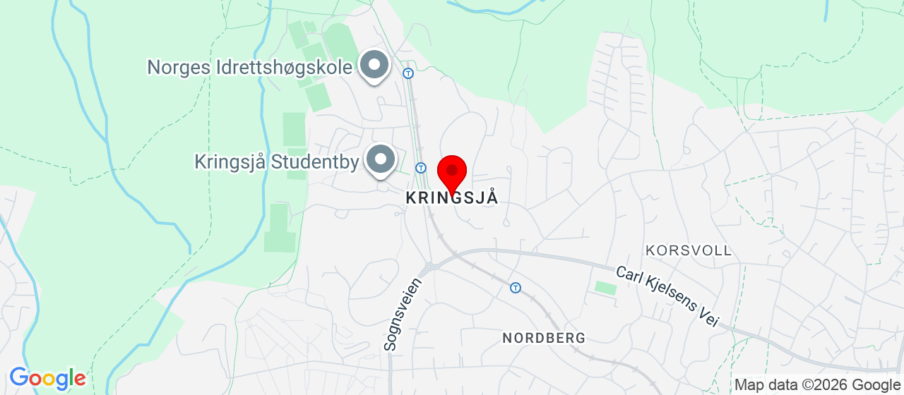 Kart over Kringsjå T-banestop 