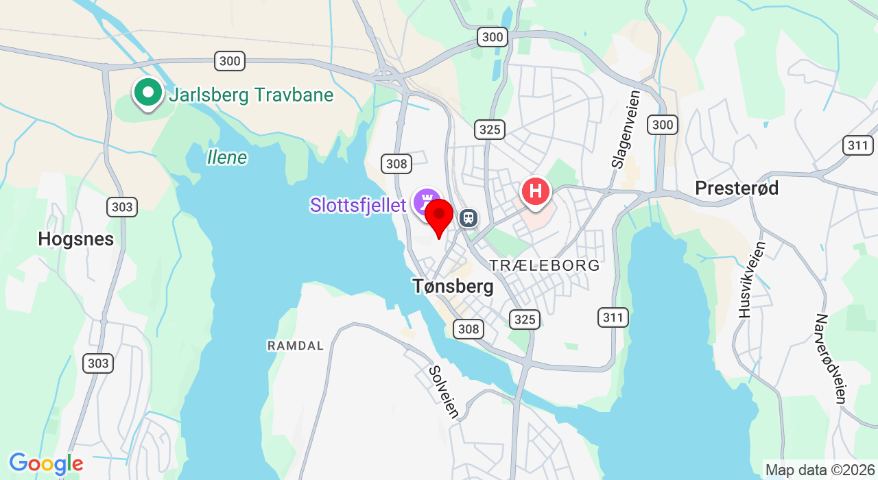 Google Map of https://www.google.com/maps/place/Baglergaten 16,,Tønsberg