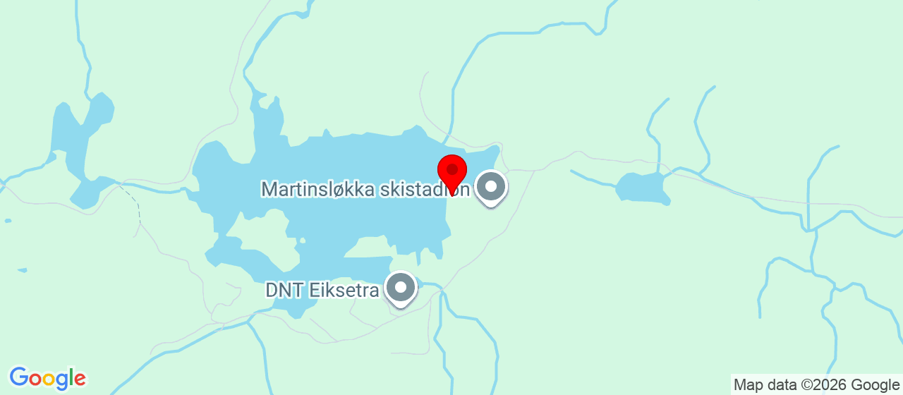 Kart over Martinsløkka LIER