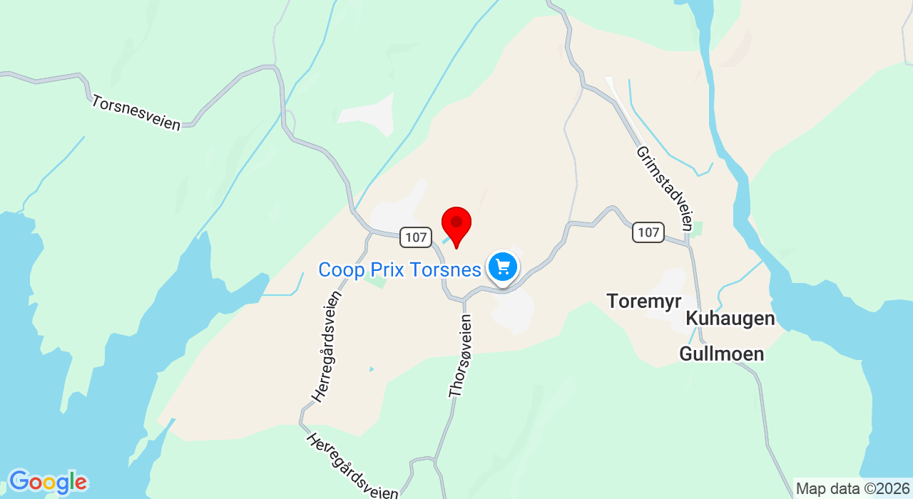 Google Map of https://www.google.com/maps/place/Toresvei 22,1634+Gamle Fredrikstad