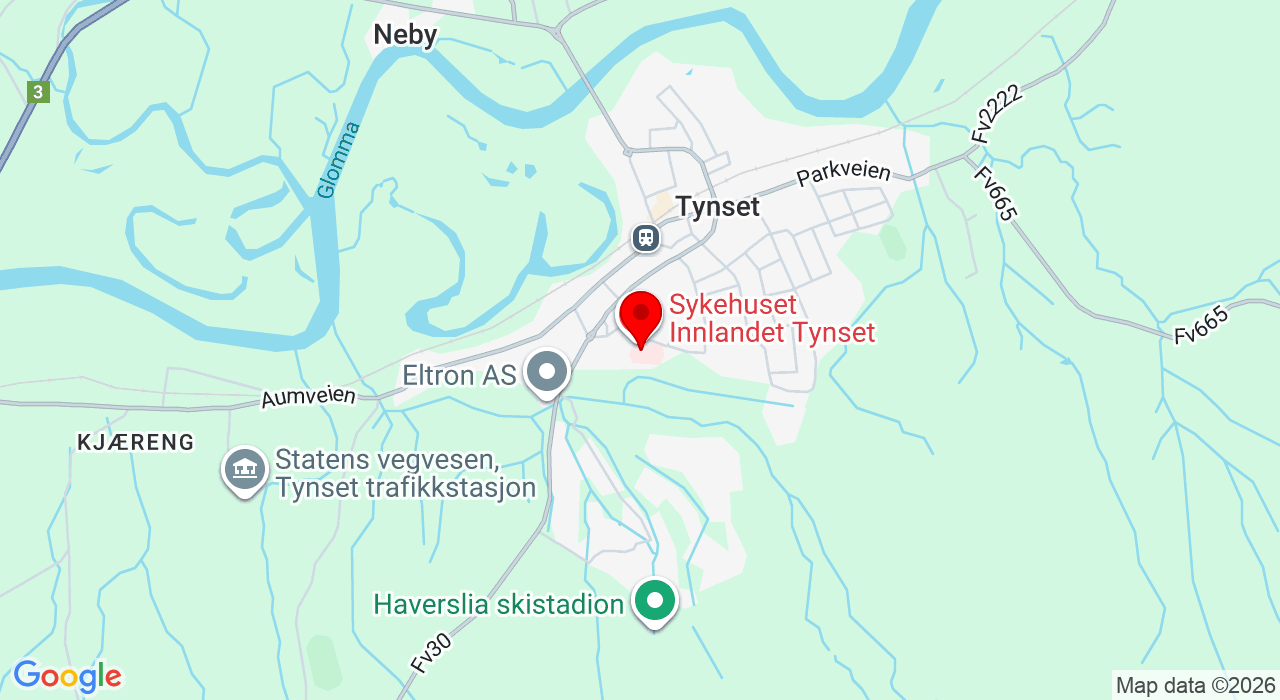 Google Map of https://www.google.com/maps/place/Sjukehusveien 9,2500+Tynset