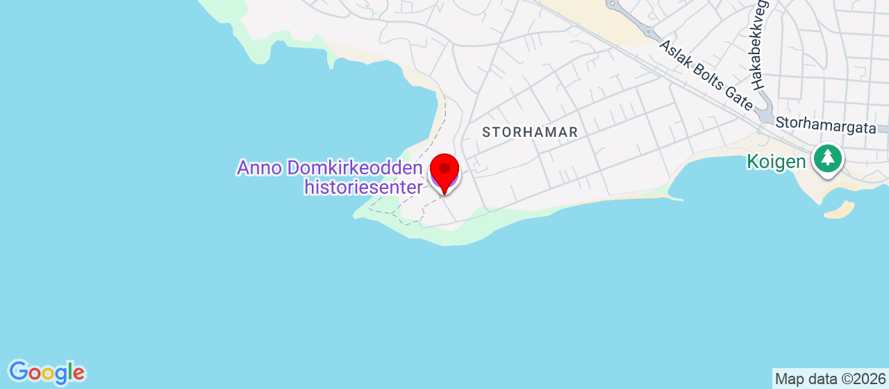 Kart over domkirkeodden hamar