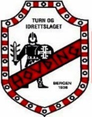 Logo Hovding Logo Hovding