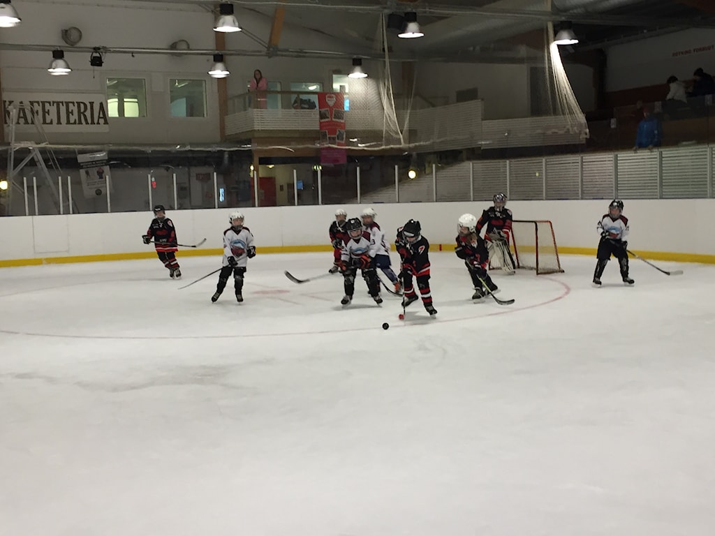 Skedsmo Mustangs - Ullensaker Flyers Skedsmo Mustangs - Ullensaker Flyers