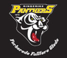 Ringerike Hockey