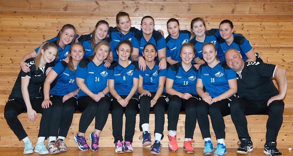 Vestre Bærum damelag, 2017/18 Vestre Bærum damelag, 2017/18